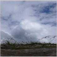 EKG: Electricals :: another timbre 16 (2009)