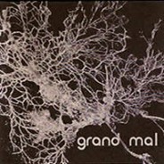 Grand Mal :: barely auditable 1234/Pax recordings (2003)