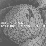 Olivia Block & Kyle Bruckmann: Teem :: either/OAR4 (2010)