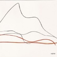 Bruckmann/Dafeldecker/Hauf: Wane :: Formed 102 (2006)